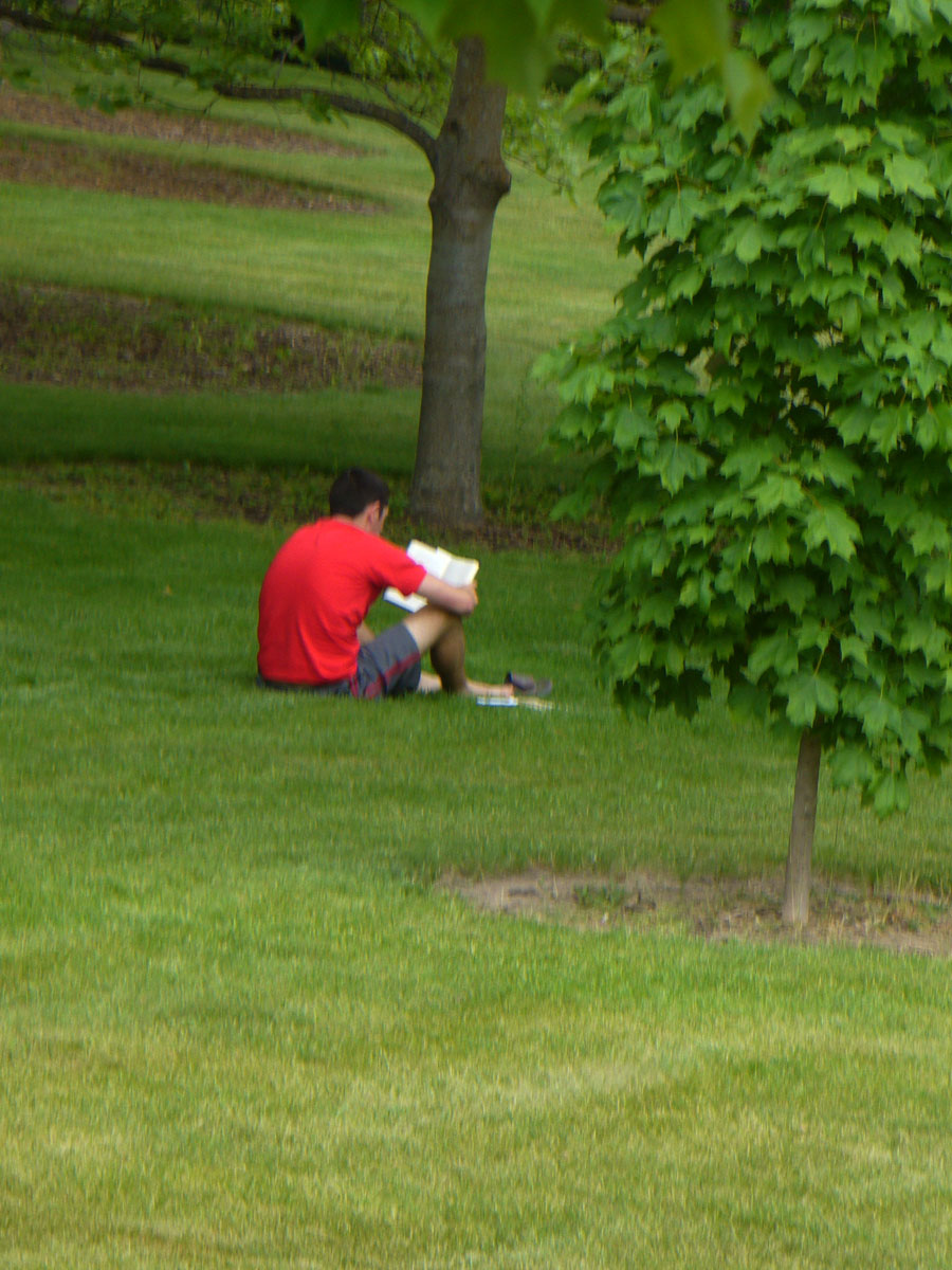 Boy reading in park by susan Fluegel